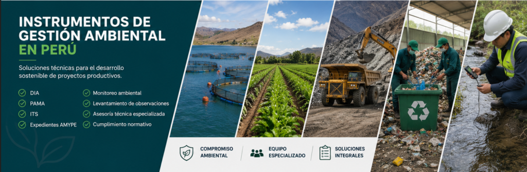 Instrumentos de gestión ambiental para proyectos productivos en Perú