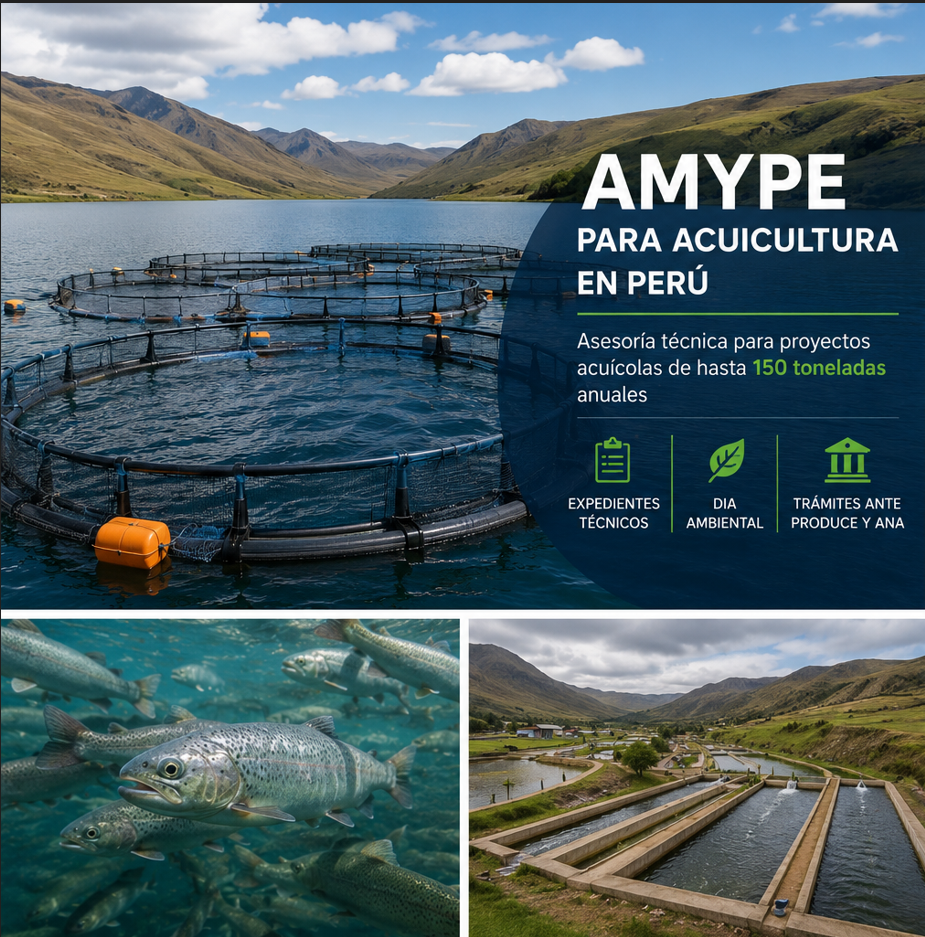 AMYPE para acuicultura en Perú